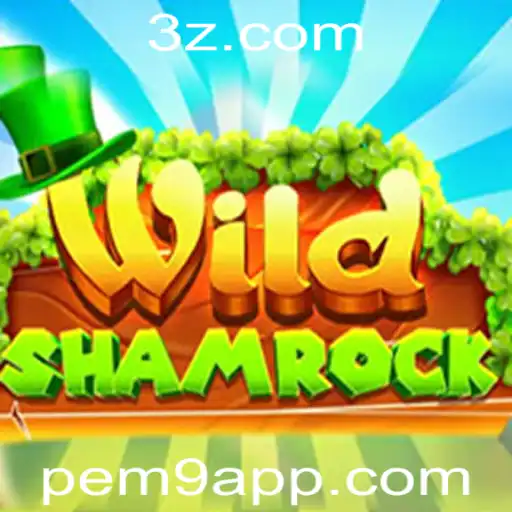 pem9 app Jogo Responsável